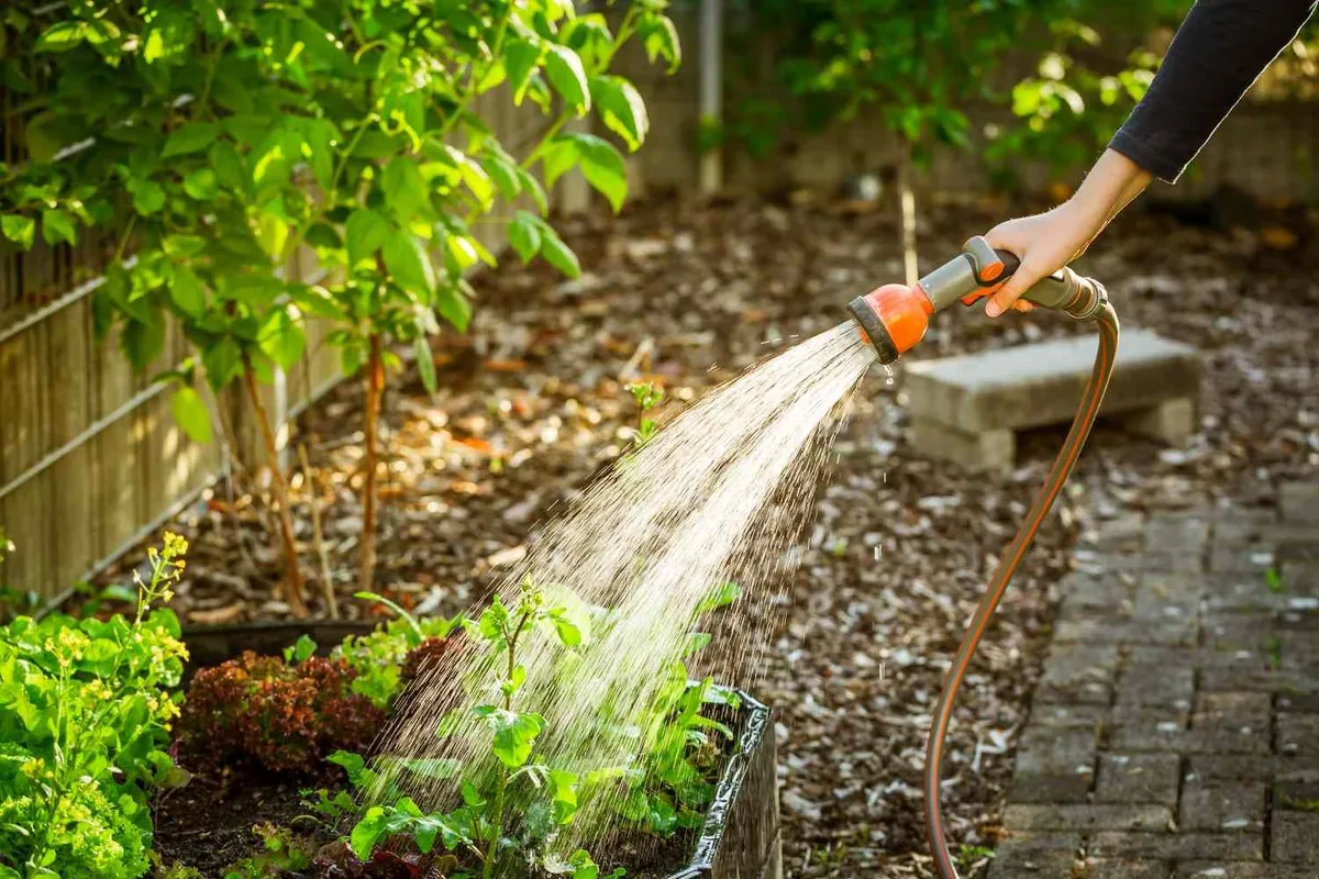Hoe de perfecte bewateringstechniek je tuin kan redden