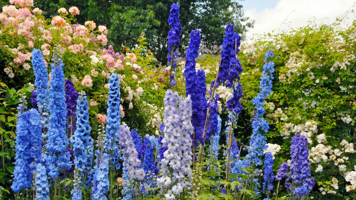 Ontdek de veelzijdigheid van bloemen en tuinieren