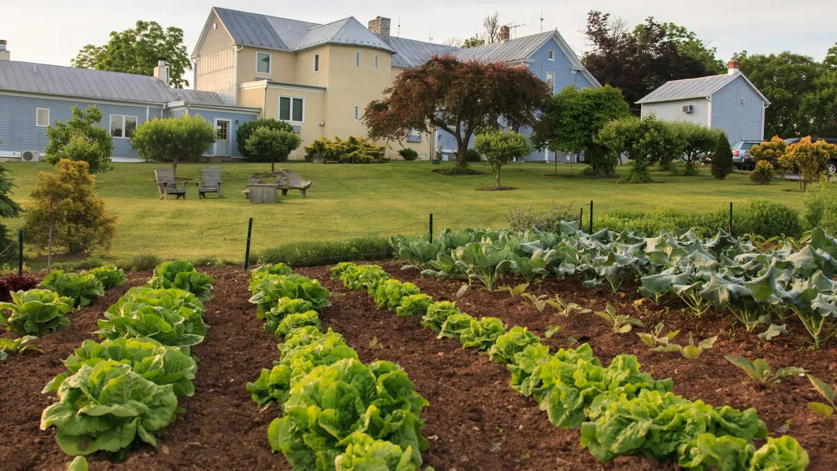 September: de productieve maand voor de moestuin
