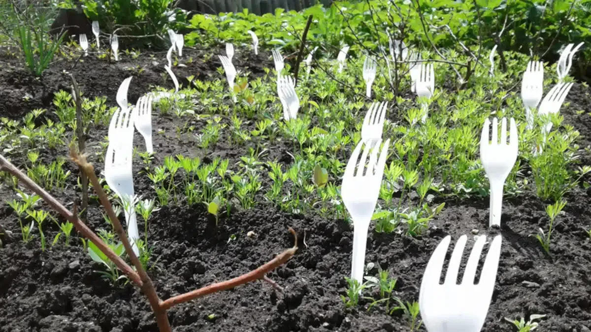 Een verrassende helper in je tuin: de plastic vork