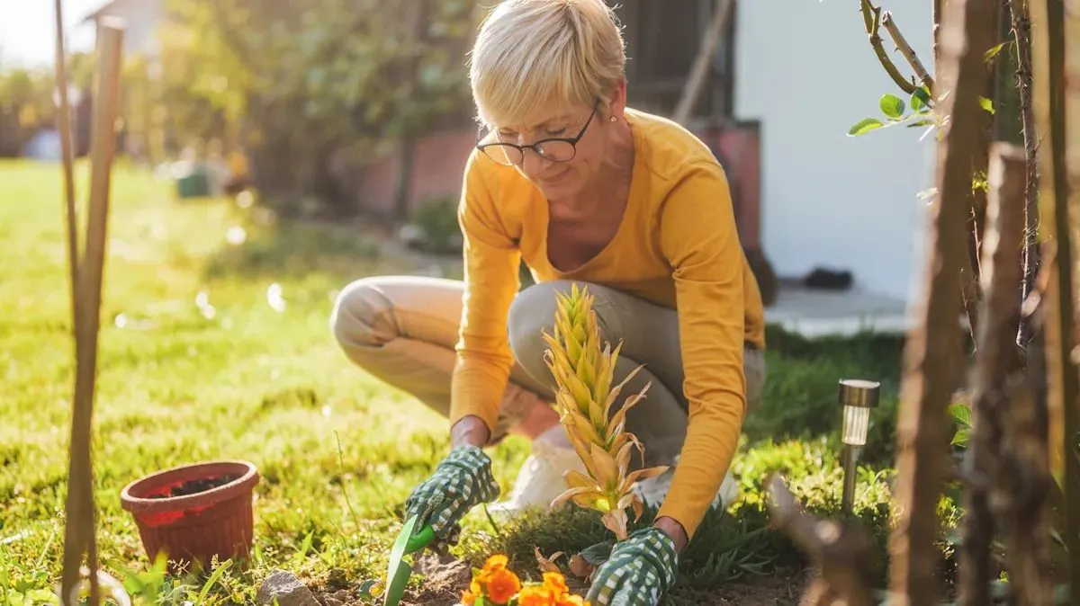 Planten in september: Het ideale moment voor een tuin vol kleur