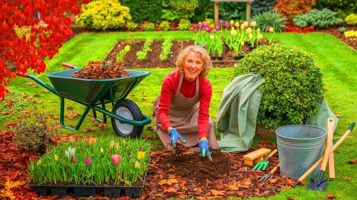 Tuinieren in september: voorbereiden op de winter