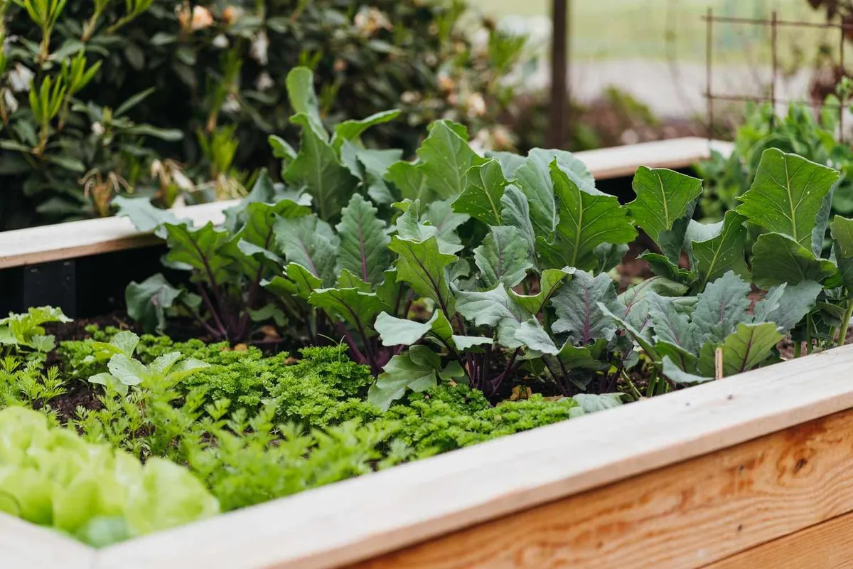 Tuiniers die planten laten schieten