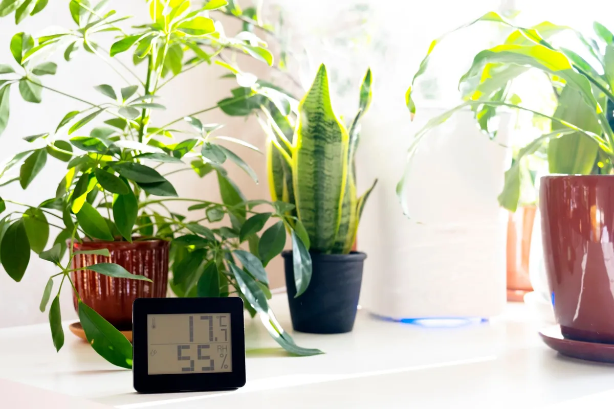 Natuurlijke tips tegen vocht in huis