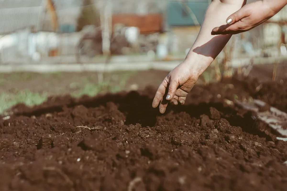 September: het begin van een productieve wintermoestuin