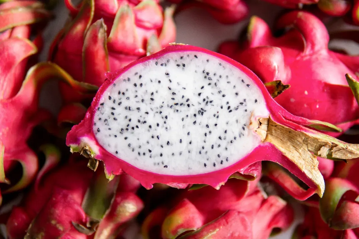 De fascinerende wereld van de drakenfruitplant